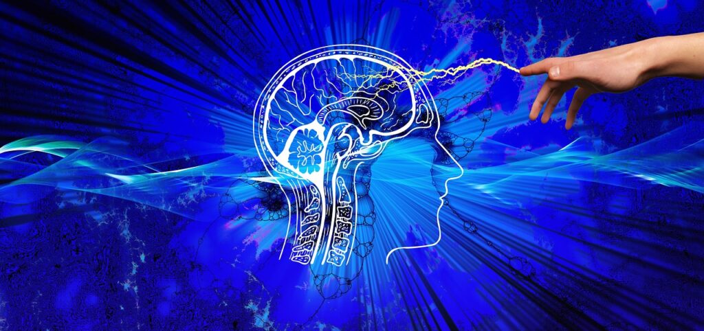 psychology, brain,  mind